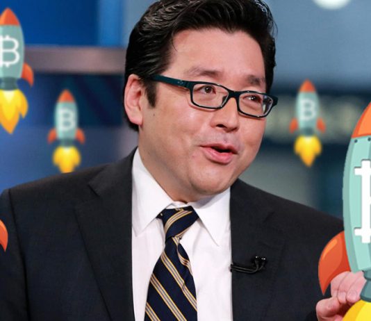 Том Ли: цена на биткоин приближается к триггеру FOMO, BTC будет торговаться между $ 20K и $ 40K